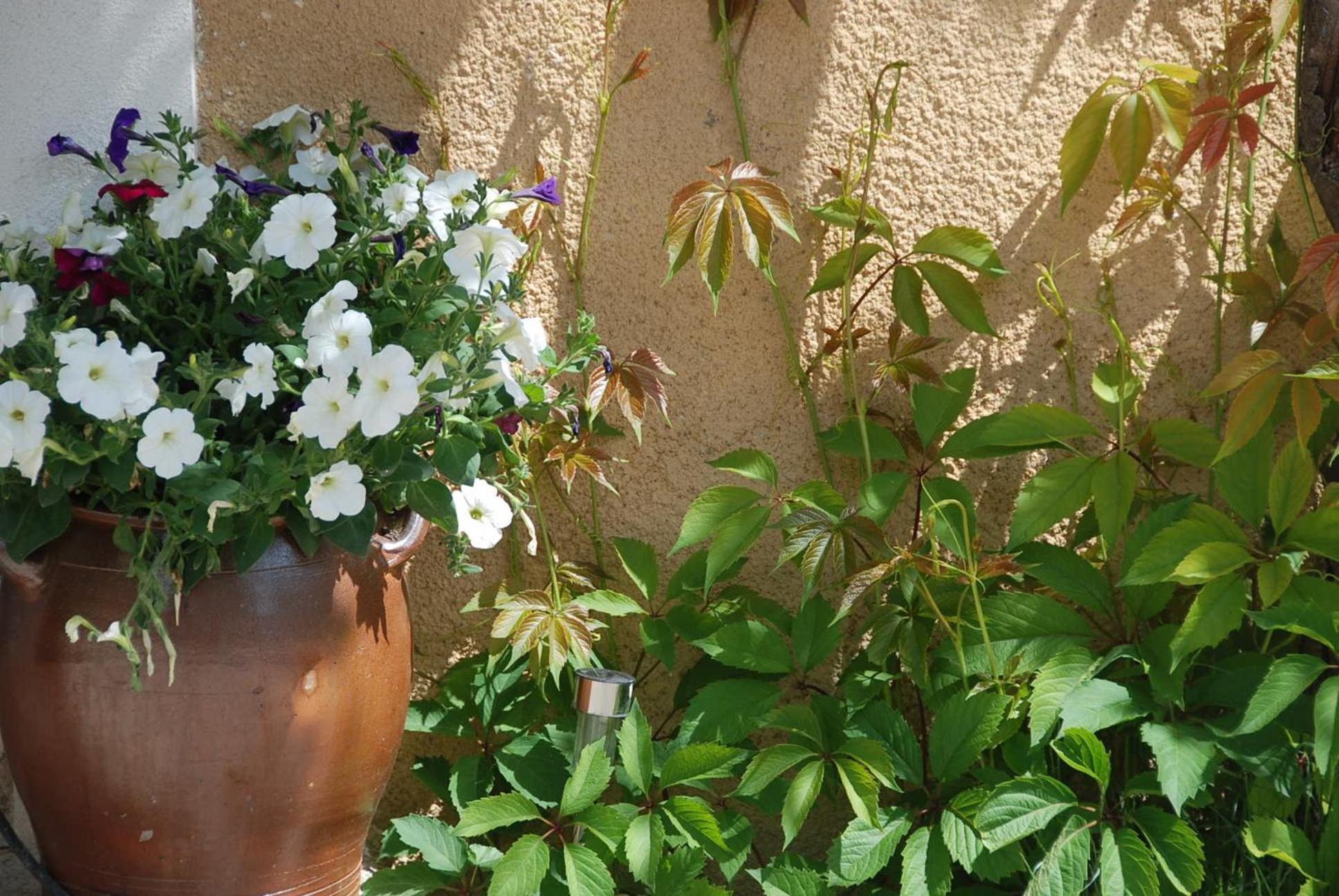Le Domaine Saint Jean Bed & Breakfast Bagian luar foto