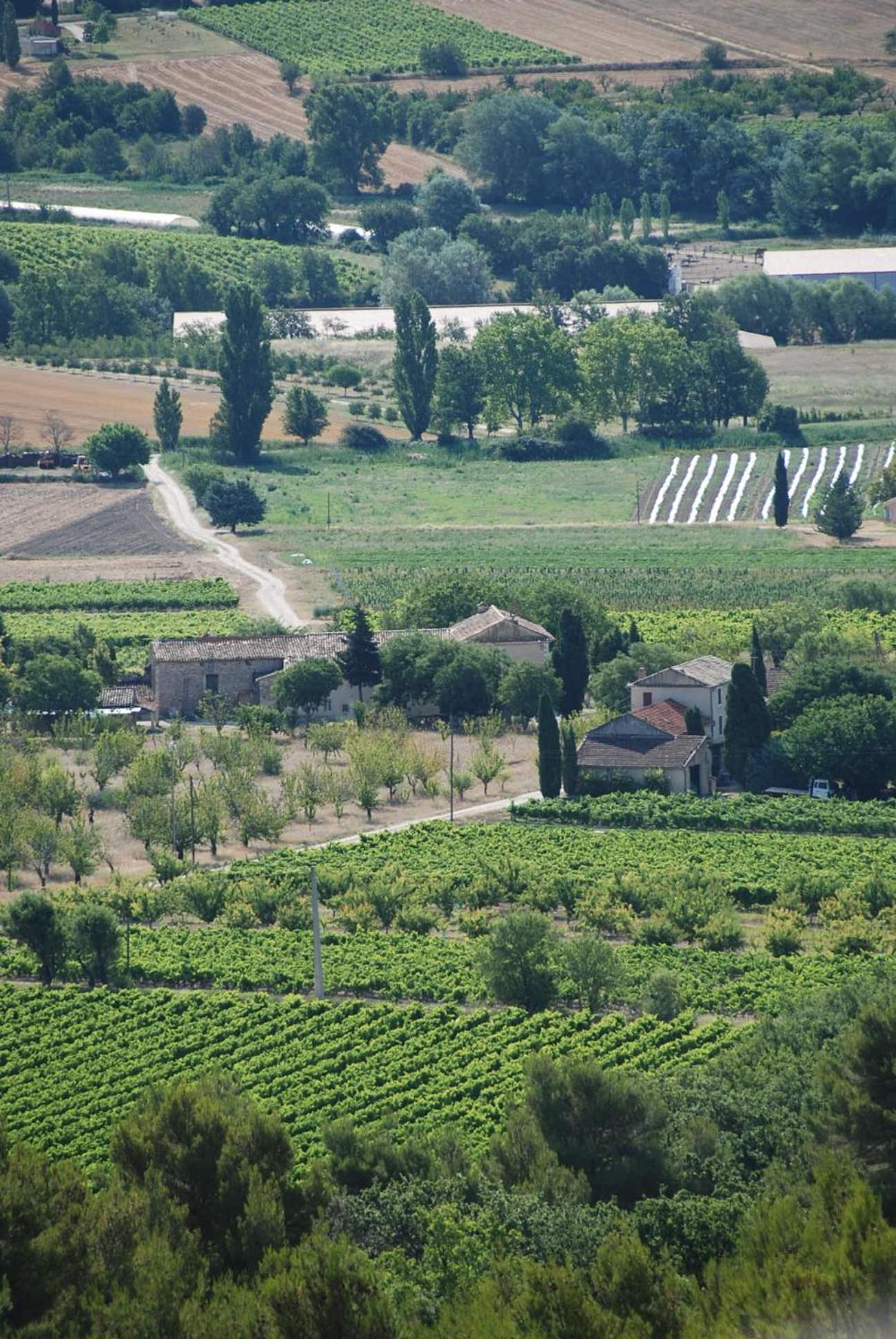 Le Domaine Saint Jean Bed & Breakfast Bagian luar foto